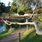 Jardín Japonés Jardín Japonés