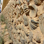 Millones de años en un muro Millones de años en un muro