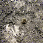 Impureza de azufre Impureza de azufre