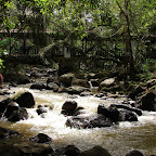 Parque del Gallineral Parque del Gallineral