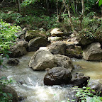 Parque del Gallineral Parque del Gallineral