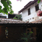 Jardines interiores
