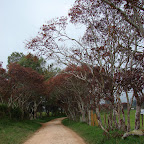 La mesa de Los Santos La mesa de Los Santos
