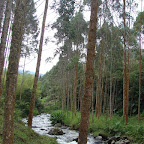 Camino a los termales Camino a los termales