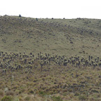 Vista del área de páramos Vista del área de páramos