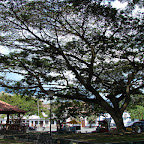 Plaza de Guacar&iacute;