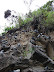 Una pared de palomas Una pared de palomas