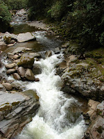 Río Cristales MSS