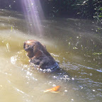 El labrador del pescador El labrador del pescador