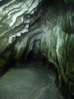La cueva MSS
