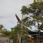 Próximos al golfo de Urabá Próximos al golfo de Urabá