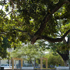 El parque de Tolú El parque de Tolú