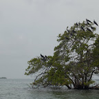 Isla Maravilla