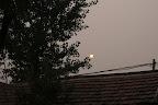 DSC00941.JPG