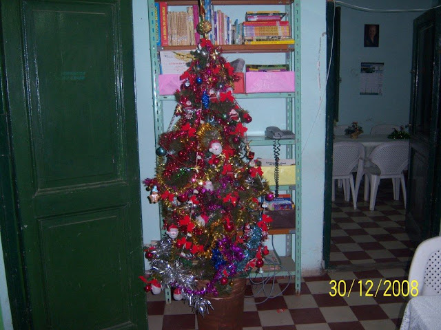 Despedida del a�o 2008 
