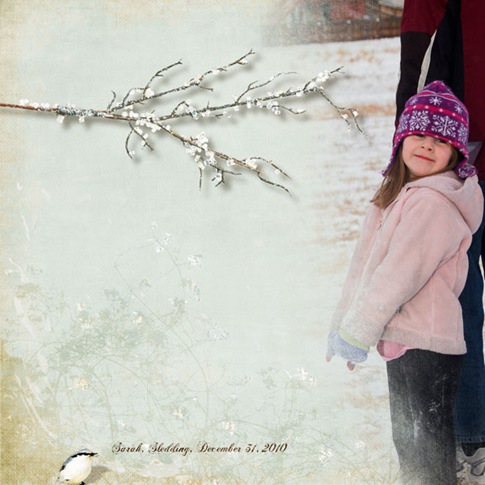 [JoyOfWinter2_1231102.jpg]