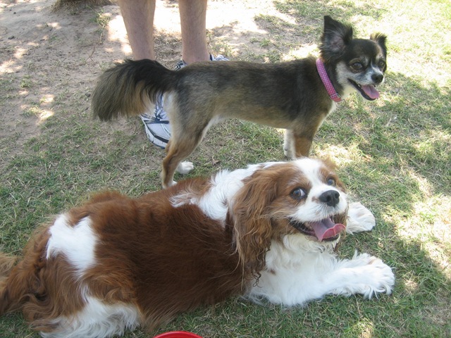 [20090621_0042[3].jpg]