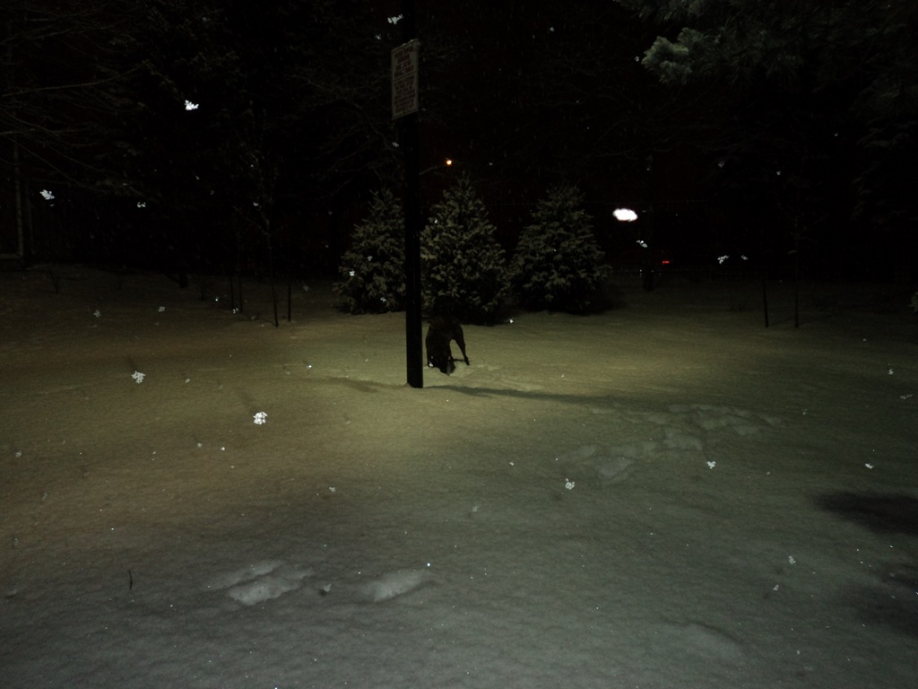 [DSC00144[6].jpg]