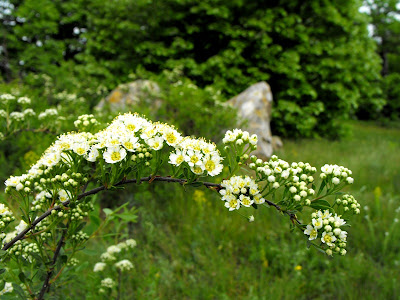 Macin10 Munții Măcin
