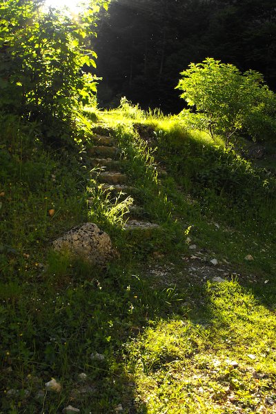 Piatra Craiului. Troita din Prapastiile Zarnestilor Piatra Craiului. Troita din Prapastiile Zarnestilor. Trepte in lumina