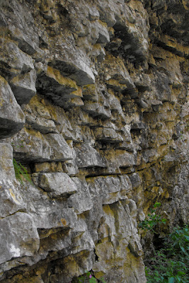 Piatra Craiului - Prapastiile Zarnestilor - relief calcaros