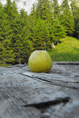 Piatra Craiului - Refugiul Spirlea - la masa de lemn servind cina