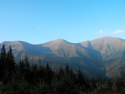 Fagaras. Vedere spre creasta de la Cabana Barcaciu