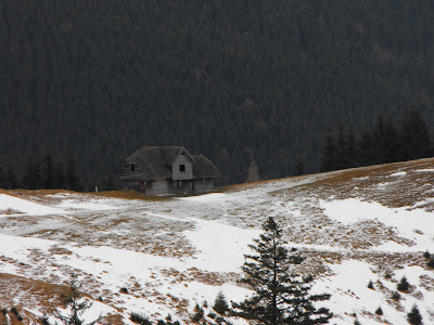 Stana ca un... han departe in Poiana Gutanu