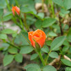 8-13-2010.jpg