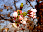 DSC00186.JPG