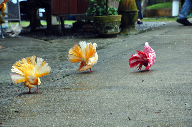 Случайности неслучайны