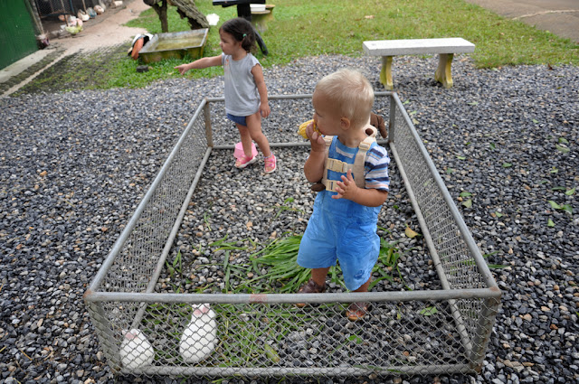 Случайности неслучайны