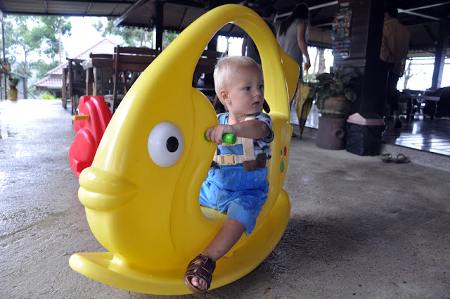 Случайности неслучайны