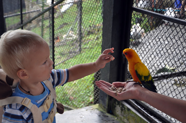 Случайности неслучайны