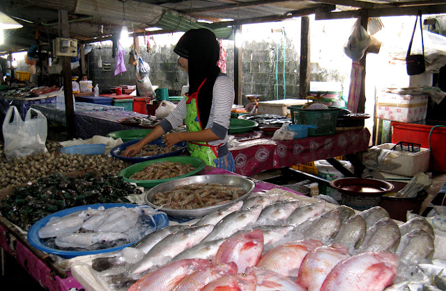 Случайности неслучайны