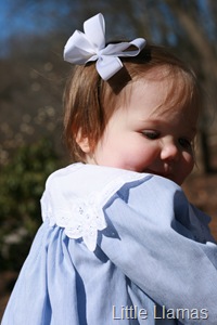 [IMG_60052.jpg]