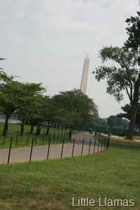 [IMG_6758[2].jpg]