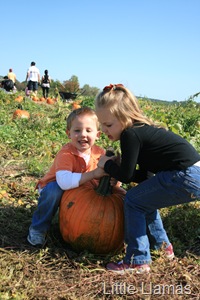 [IMG_75642.jpg]