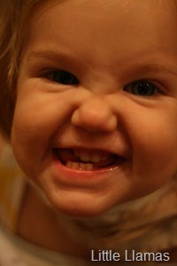[IMG_74531.jpg]