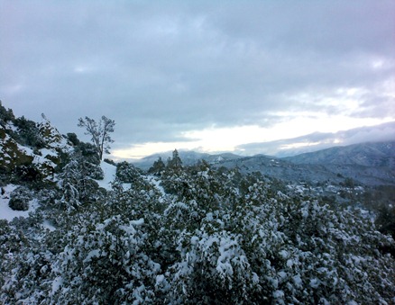 Photo0076