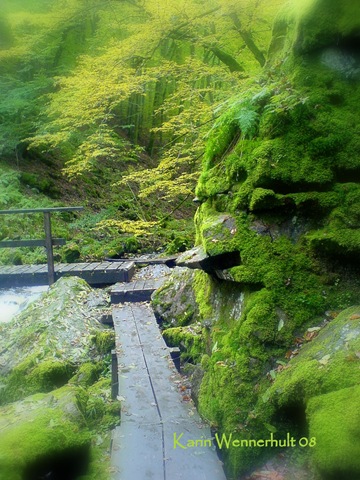 [skralidokt07DSC0058913.jpg]