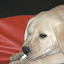 DSC_2161.jpg
