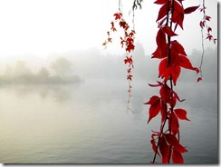 Serenity_Enchanted_by_sirpecangum
