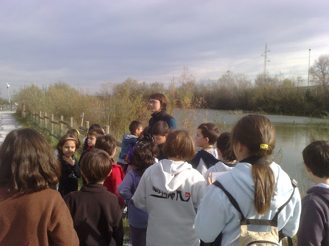 external image 20091125433.jpg