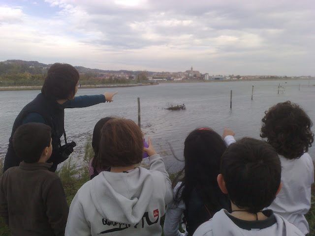 external image 20091125437.jpg