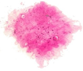 [opco_logo_klein[4].jpg]