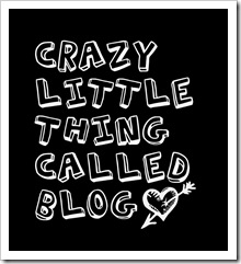 crazyblog