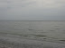 IMG_2239.JPG