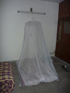 P1000025.JPG
