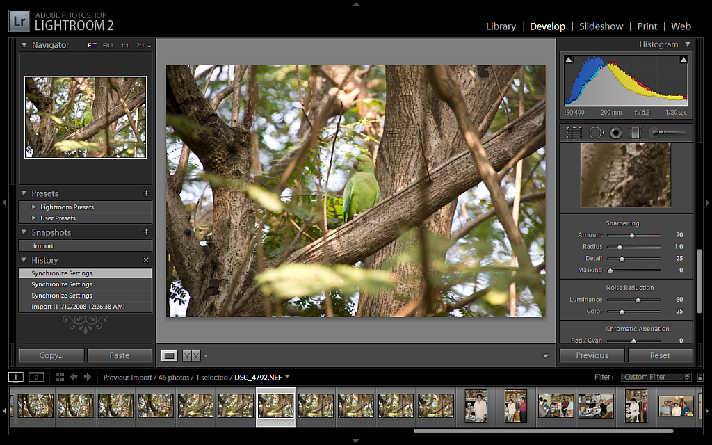 [Lightroom[13].png]